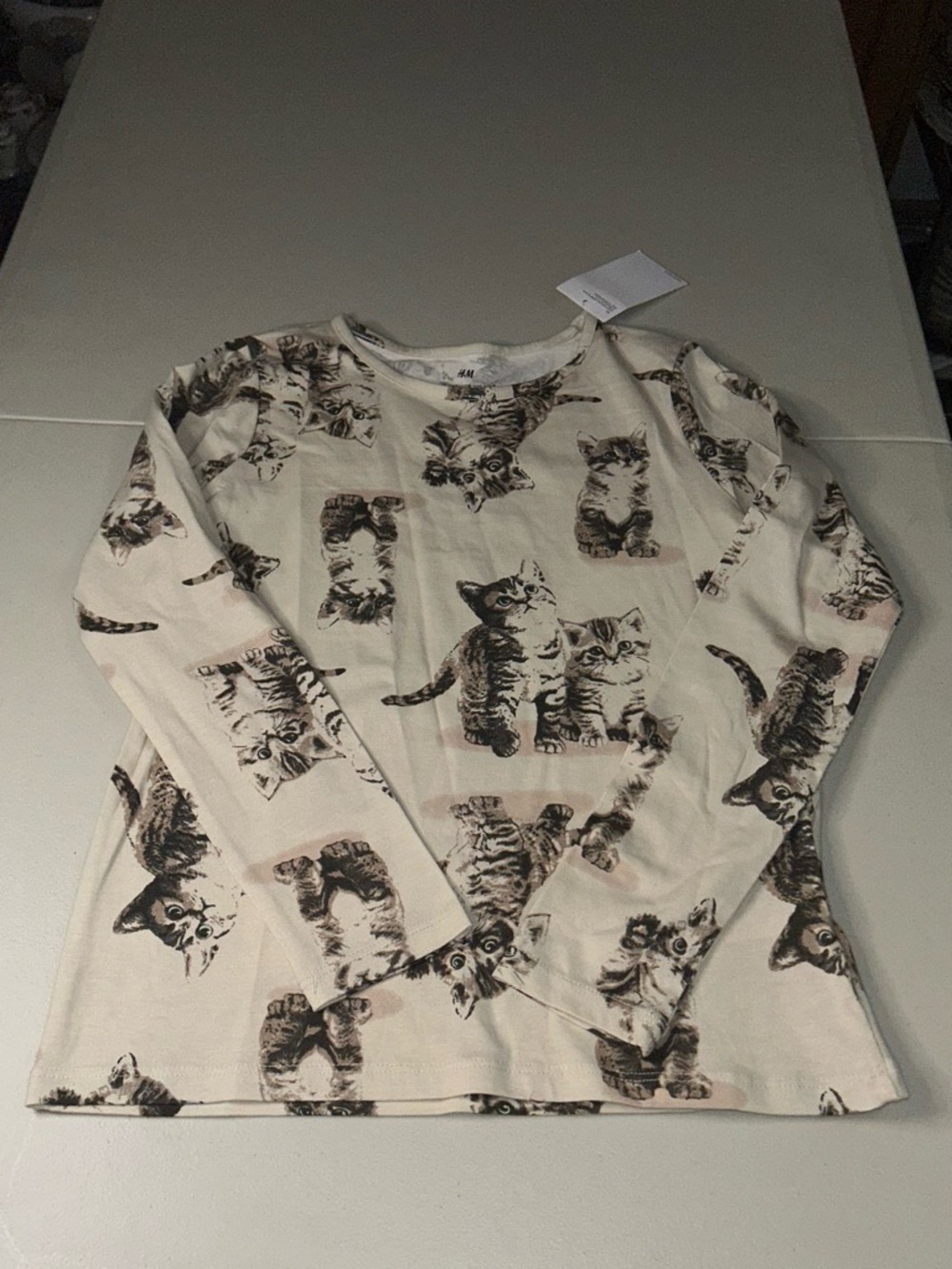 H&M Cream Long Sleeve Top with Brown Kitten Print